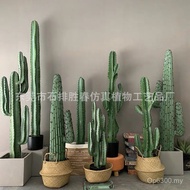 Large Cactus Cactus Pillar Decoration Potted Plant Cactus Indoor Fake Plant Green Plant Decoration N