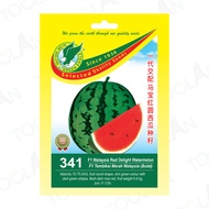 341 F1 Hybrid Malaysia Red Delight Watermelon Seeds / Benih 341 F1 Hibrid Tembikai Merah Malaysia (B