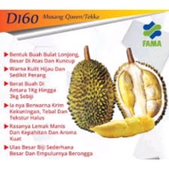 Fresh durian/Durian segar Tekka