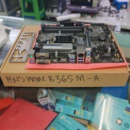 ASUS MOTHERBOARD Prime B365M-A
