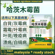 T-22 Trichoderma Harzianum 哈茨木霉菌微生物 根腐 枯萎灰霉病立枯土传白粉  Trichoderma Harzianum