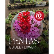Fresh Stage | Star Flower | Desert Cake Garnish Flower Drink | Fresh Edible Flower | Contents 10g