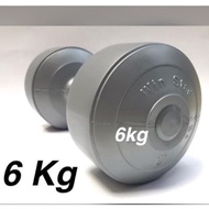 Official Wholesale 6 KG WINSTAR STAMINA 6 KG DUMBBELL