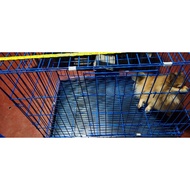 XXXL (3xl) Collapsible Dog Cage