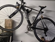 CEEPO STINGER 碳纖維公路車