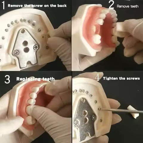 28PCS Compatibly Nissin Brand Dental Resin Tooth Model Material Plastic Teeth Teaching Model Dentist