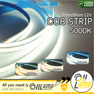 ไฟเส้น 5000k LED Striplight COB 12V 8mm CRI90 (รับประกัน 3 ปี) ยาว 5 เมตร รุ่นนี้ไม่เห็นเม็ดไฟ เนียน