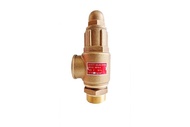 เซฟตี้วาล์วทองเหลือง 10 Bar 1/2-2 ( Brass Safety Valve)