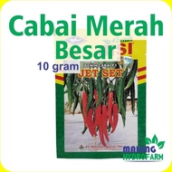 READY Benih Cabai Merah Besar Jet Set F1 10 gram Cap Kapal Terbang dataran menengah tinggi bibit bij