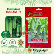 MARZIA F1 CHAMPION CUCUMBER SEEDS 20 GRAMS (+/- 860 SEEDS)