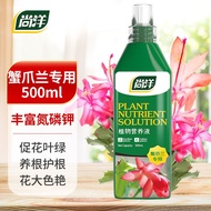Shangyang Crab Cactus Plant Nutrient Solution Gardening Pot Planting Fertilizer Flower Hydroponic Organic Fertilizer Pla