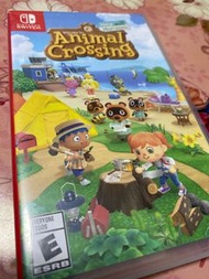 Switch game