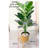 Pokok Hiasan viral | Artificial Fake plant |  Home Deco Plant | Pokok Hiasan Rumah sekali pasu