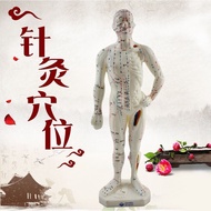 ** Meridian Acupuncture Acupuncture Villain Model (26cm) Acupuncture Acupuncture Body Model Acupunct