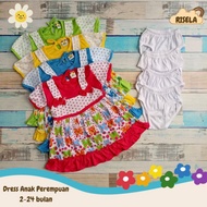 Baby Girl Dress 2-24 Months