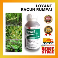 Racun Loyant 500ml Racun Rumpai Padi Burung Cabai Kera Keladi Agas/Herbicide