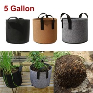 5 Gallon Plant Growing Bag flower potato tomato Seed garden grow pots Handle Vegetable Fabric Eco-Fr