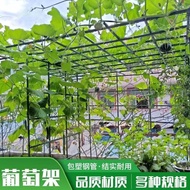 [ST] Outdoor Garden Gardening Grape Rack Climbing Vine Flower Stand Assembly Bracket Cucumber Luffa Beans Rose P