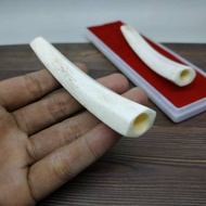 once pipa rokok tulang iga duyung asli dan original Inz7