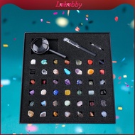 Lohobby Rock Collection for and Mineral Collection Tools Geology Science Stem Toys for Kids Adults G