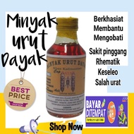 Dayak Sort Oil - Helps To Treat Strok, Rheumatic Disease