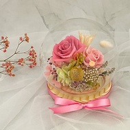 禮物/甜美系玻璃花球/雙粉色/玻璃罩/不凋花/永生花/乾燥花