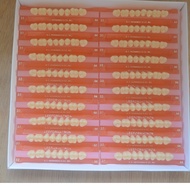 Leeformatron Pontic Denture Teeth Acrylic Fluorescent Cross-Linked Dental Market Supply