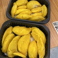 Raja Kunyit MSW Kelantan 40 Yrs Old Tree | Creamy and bitterness 80% | Ancester of MSW | Rich Aroma 