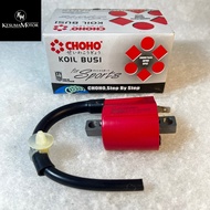 XEON-CHOHO COIL