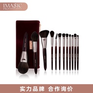 IMAGIC 12 Cosmetic Brush Set Eyeshadow Blush Loose Powder High Gloss Concealer Makeup Professional B
