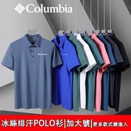 Nike有領t恤 愛迪達polo衫 速乾透氣涼感衫 吸溼排汗冰絲短袖 素面POLO衫 翻領 立領 大尺碼 上衣 男生衣服