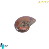 AINTP Iridescent Luck Collectibles Madagascar Stone Gifts Natural