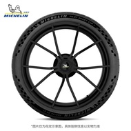 Michelin Tire 305/30ZR19 (102Y) PILOTSPORTCUP 2 CONNECT