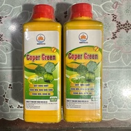 COPER GREEN seaweed [500ml square yellow bottle] treats tail algae, soft algae, rock algae, making a