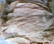 KHÔ MỰC (SIZE 30CON /1KG) KHÔ MỰC LOẠI NGON BAO NGỌT ĐĂC SẢN SÔNG ĐỐC PHÂN LOẠI 100GRAM/ 300GRAM/ 50