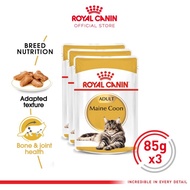 Royal Canin Adult Maine Coon Makanan Kucing Dewasa Maine Coon Wet 3x85