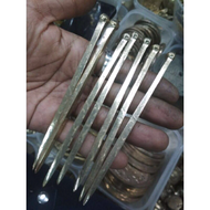 Paku pasak bumi Rajah Wesi kuning panjang 12 cm