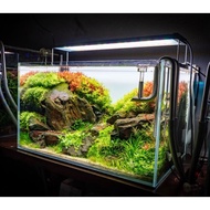 60cm Crystal Clear Tank 6mm 🐟💙🩵Free Polistrine Box🎁CC TANK🐟