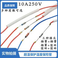 Universal Egg Steamer Electric Kettle Garment Steamer Hair Dryer Hot Air Gun Temperature Fuse Tube T