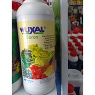 WUXAL BORON 1L Baja Foliar Pekat*Agrobridge Wuxal