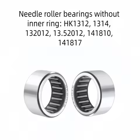 HK Type Roller Bearing without Inner Ring HK1312 1314 132012 13.52012 141810 141817 for Industrial U