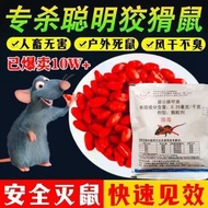 Powerful Mice Bait Mice Dedicated 6.10