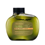 Antipodes REPAIR & NOURISH Shampoo Fig+Feijoa