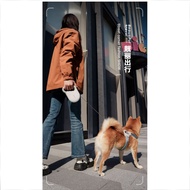 Pet Leash Retractable Controllable Safe Dog Walking Leash Reflective Leash Dog 5m Leash