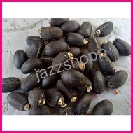 ∆ ▩ ❖ Talantangan / Tuba-tuba Seeds/ for planting