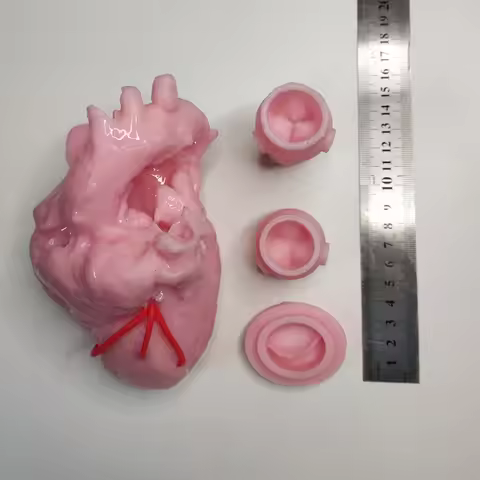 Simulation training of valve suturing in cardiac surgery using Bantall surgical module model at the 