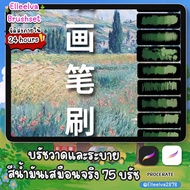 Procreate brush : บรัชสีน้ำมันเสมือนจริง มี 75 บรัช ✨🌷จัดส่งภายใน 24 hours🌷✨