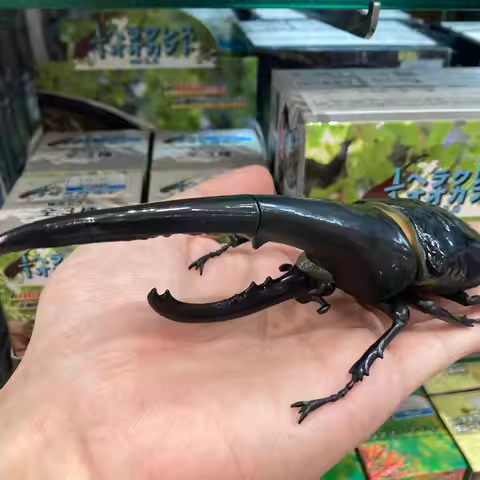 SO-TA Dynastes Hercules 1:1 Giant Beetle Gashapon Capsule Life-Size Latin America Rhinoceros Insect 