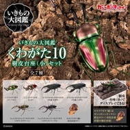 [預訂2025年6月] Bandai 扭旦/ 扭蛋 鍬形蟲第10彈 樹皮底座 套裝 [GOL] STAG BEETLE 10 PEDESTAL SET 一套7款