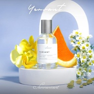 Summerscent Official Yervant Parfum Pria Original 35ml
